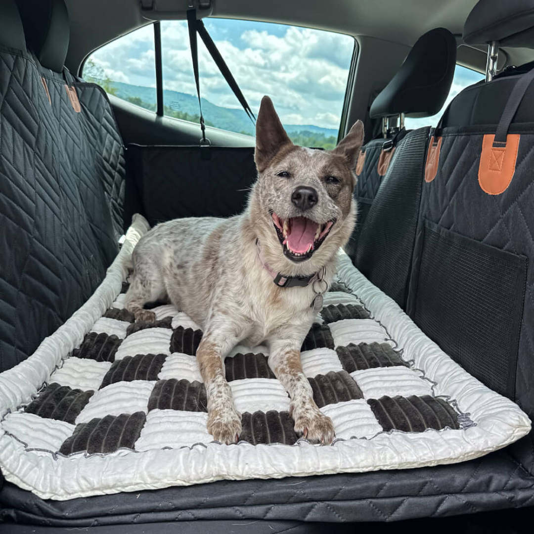 Arlo & Friends - Hard Base Dog Seat Cover